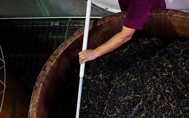 Domaine du Cellier aux Moines Burgundy Wine Dinner, with Philippe Pascal