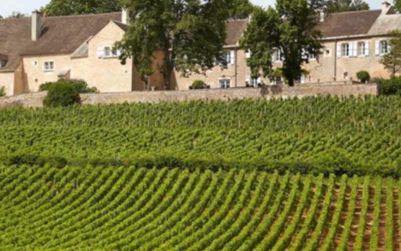 Domaine du Cellier aux Moines Burgundy Wine Dinner, with Philippe Pascal
