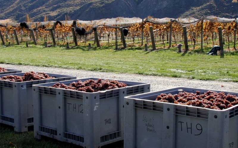 Burn Cottage Central Otago Pinot Noir Dinner, with Andy Crozier