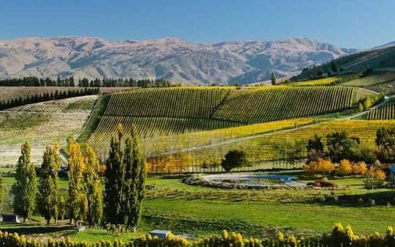 Burn Cottage Central Otago Pinot Noir Dinner, with Andy Crozier