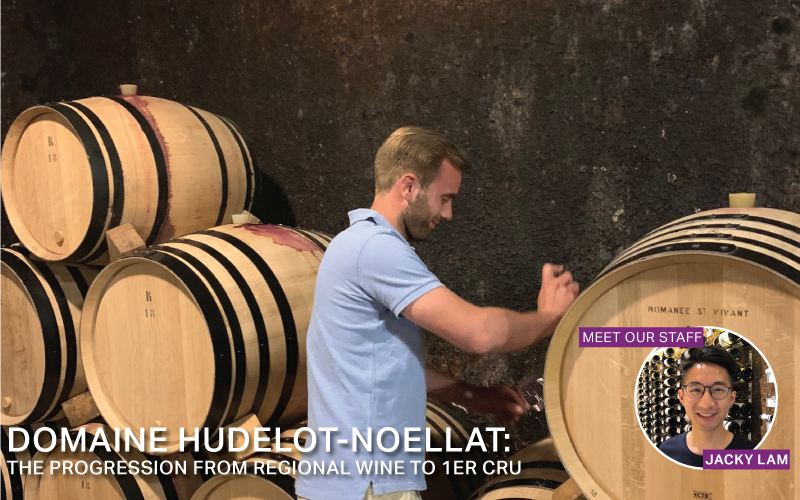 Fine Wine Friday: Domaine Hudelot-Noëllat: The Progression from Regional Wine to 1er Cru