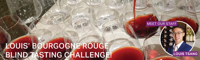 Fine Wine Friday: Louis' Bourgogne Rouge Blind Tasting Challenge