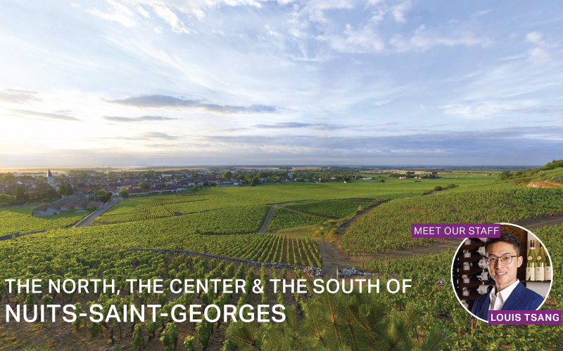 Fine Wine Friday: The North, The Center & The South Of Nuits-Saint-Georges