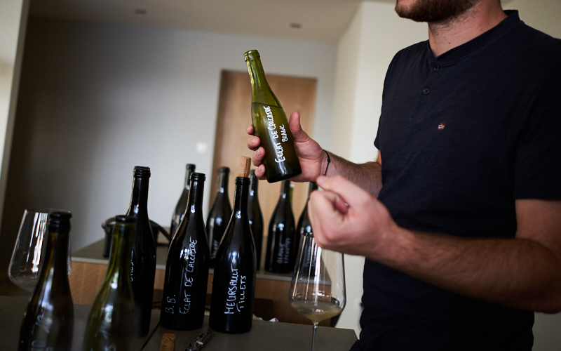 Tasting with Pierre-Vincent Girardin - A Rising Star in Burgundy
