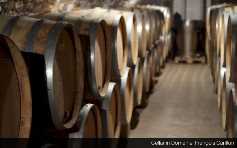 Domaine François Carillon and Domaine Coquard-Loison-Fleurot Winemaker Tasting on Thursday, 25 January 2018