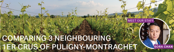 Fine Wine Friday: Comparing 3 Neighbouring 1er Crus of Puligny-Montrachet