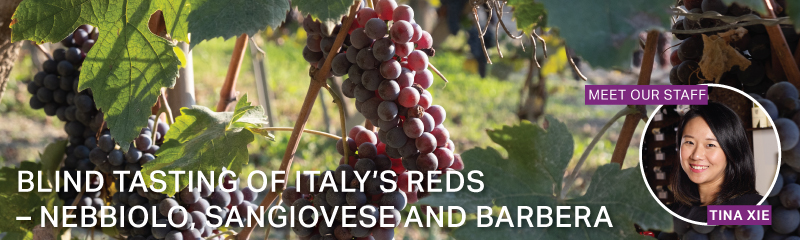 Fine Wine Friday: Blind Tasting of Italy's Reds - Nebbiolo, Sangiovese and Barbera