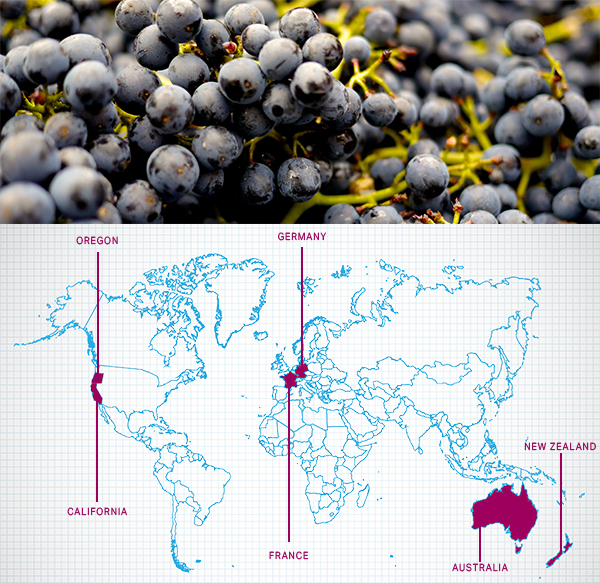 Saturday Blind Tasting: Pinot Noir From Around the World